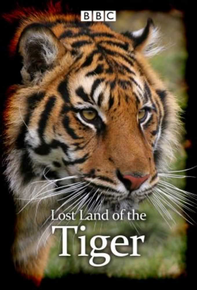 BBC: У пошуках останнього тигра 1 сезон