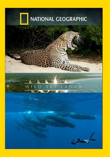 National Geographic. Дика Шрі Ланка 1 сезон